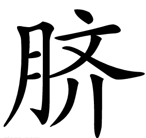 脐
